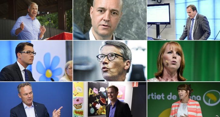 Rödgröna regeringen, Regering, Riksdagsvalet 2014, Sverigedemokraterna, Alliansen